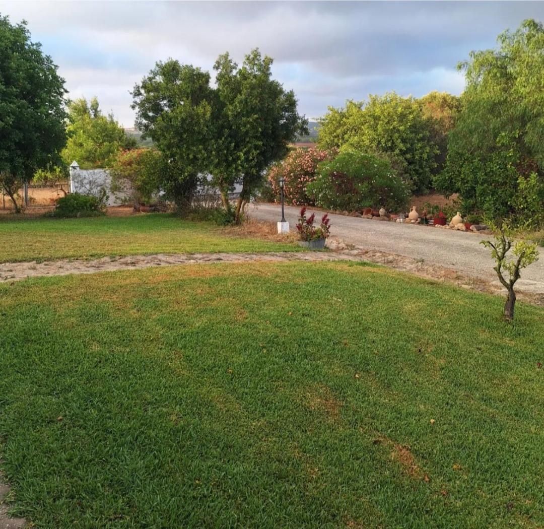 Casa Rural El Nino Santamaria , Con Piscina Y Wifi Vejer de la Frontera Exterior foto