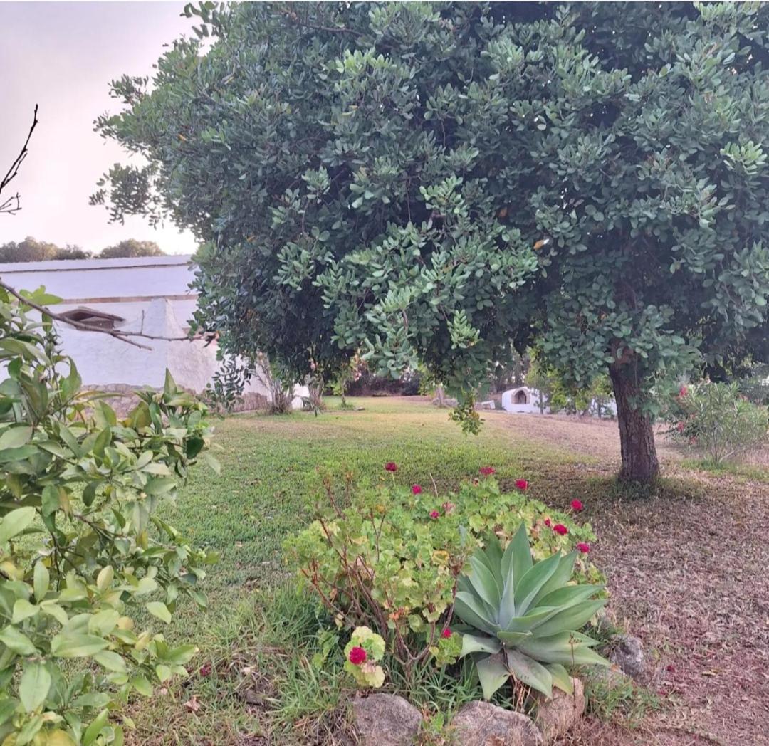 Casa Rural El Nino Santamaria , Con Piscina Y Wifi Vejer de la Frontera Exterior foto
