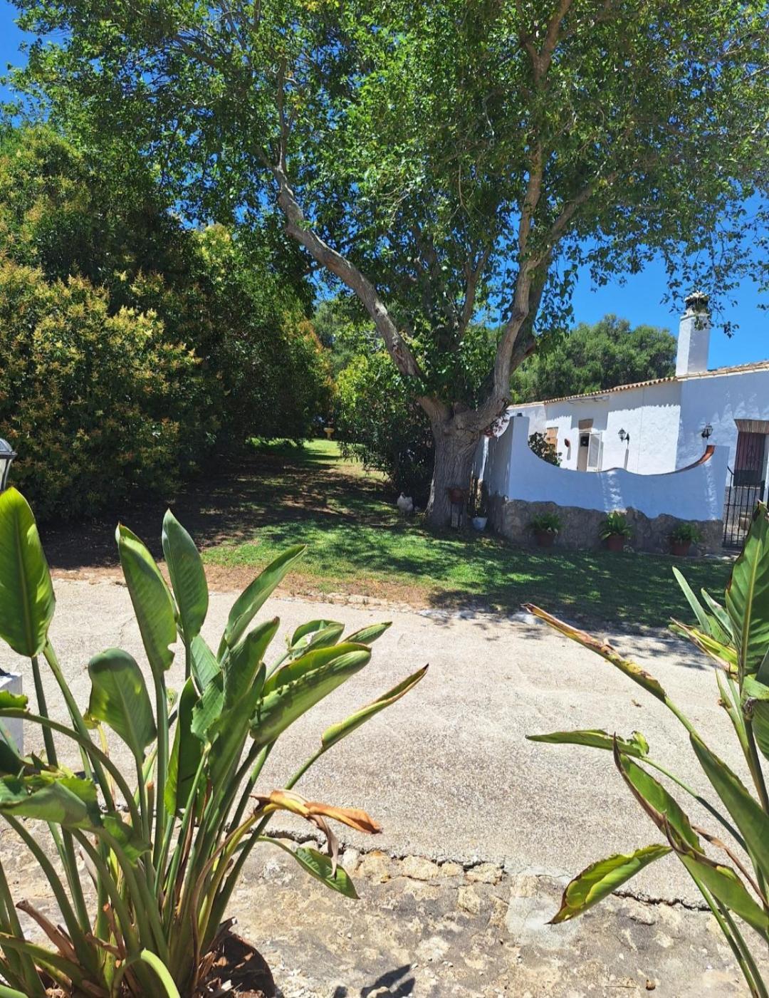 Casa Rural El Nino Santamaria , Con Piscina Y Wifi Vejer de la Frontera Exterior foto